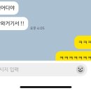노블코코