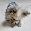꽁꽁냠냠 이미지