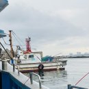 속초배낚시 속초윤창호바다배낚시 체험 후기 | 가자미 낚시와 즉석회까지 한방에