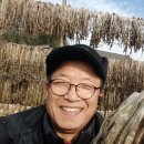 명품 단무지 이미지