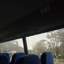 포포아일랜드 | 호주 멜버른 여행, 땡스투어 [퍼핑필립&amp;필립아일랜드 투어] 내돈내산