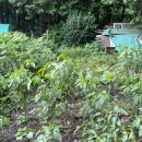 동규농장 이미지