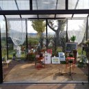 카페바바 이미지