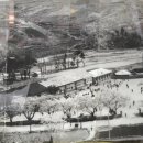 임원초등학교 이미지