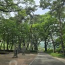 좌라리경로당 이미지