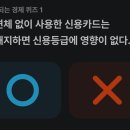 돈이돼지 이미지