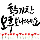 피노키오복싱 이미지