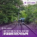 문경 철로자전거(진남역) 이미지