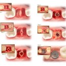 정교한치과의원 이미지