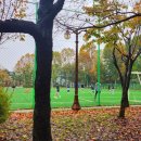 축구장 옆 화단 네이버블로그
