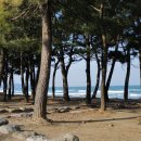 스테이 그로브 이미지