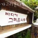 바다가 그리운 나무 이미지