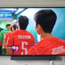 승리기원 | 2026 북중미 월드컵 남아공전 집관 연차 쓰고 대한민국 응원한 솔직 후기