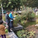 청학근린공원[청학-5] 이미지