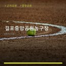 중앙체육공원 농구장