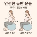 불광동PT·임산부운동·불광동헬스 | 30주차 임산부의 역아 운동 루틴 공유!👶 바디플래너PT