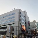 신동아시장 | 자갈치시장 횟집 추천 신동아시장 푸짐하게 나오는 가성비 맛집 영도상회