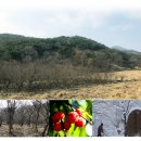 김병환농장 이미지