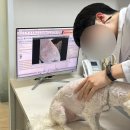 광명 24 아이디동물의료센터 | 광명 철산 동물병원 추천 24아이디 동물의료센터