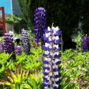 삼산2동주민센터 이미지