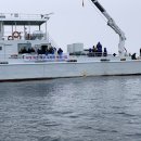 홍주자원 이미지