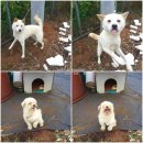 짱구2농장 이미지