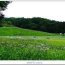 고산목장2 이미지