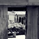 다호마을 이미지