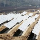 김동철 태양광발전소 이미지