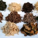 김시효의원 이미지