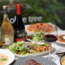 올리브트리 이미지