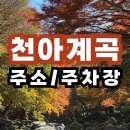 (주)제주가는길 | 제주 단풍 천아계곡 가는길｜위치｜주차장｜버스｜실시간｜주소｜시간｜