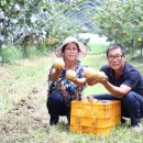 한아름유통 이미지