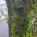 정실경로당 이미지