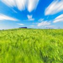 천북농장 이미지