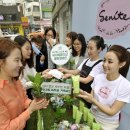 세니떼 뷰티샵 이미지