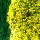 경성대학교 멀티미디어대학원 이미지