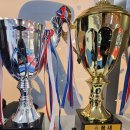 용인대 청룡 태권도장 이미지