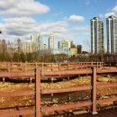 상동호수공원 이미지