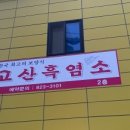 고산흑염소 이미지