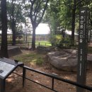 주안동고인돌 이미지