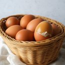 해와 바다 이미지