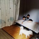 하음이네펜션