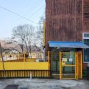 놀러오개 애견유치원 호텔 고기점 이미지