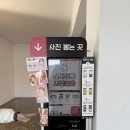 1146 | 남양주 대형 식물 카페 라온숨 북한강 드라이브 주말 봄나들이 추천