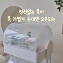 코코맘 Daum카페