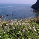 바다향민박 이미지