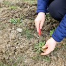 청천초 대후분교 이미지