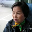 한들소풍 Daum카페