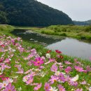 비봉내마을 이미지